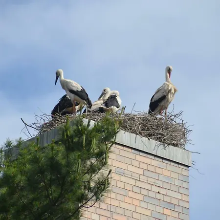 Maison d'hôtes Am Park